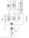 Fig. 12 - Transmitter equalization