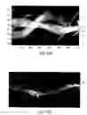 Fig. 11 - Contraband detection systems and methods