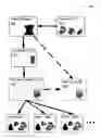 Fig. 01 - Call routing management based on caller language
