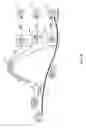 Fig. 10 - Multiple call origination