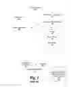 Fig. 02 - System and method for authenticating software using protected master key