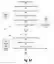 Fig. 15 - System and method for authenticating software using protected master key