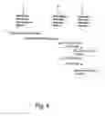 Fig. 06 - Method for indicating enciphering of data transmission between a mobile communication network and a mobile station