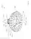 Fig. 15 - Phasing plug for a compression driver