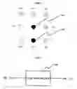 Fig. 06 - Method and apparatus for editing images using contour-extracting algorithm