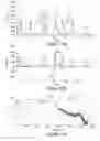 Fig. 08 - Method and apparatus for resolving individual signals in detector output data