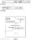 Fig. 04 - Method of detecting information break position of multiplexed stream, sound digital broadcast recording apparatus, and recording control method