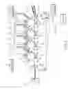 Fig. 05 - Oblique movement preventing device for endless belt and image forming apparatus with it
