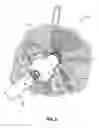 Fig. 07 - Hand-held body washing device
