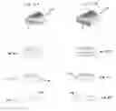 Fig. 07 - Reclosable fastener riser/spacer, and methods of constructing and utilizing same