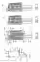 Fig. 02 - Turbine blade tip cooling
