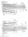 Fig. 03 - Turbine blade tip cooling