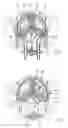 Fig. 03 - Peristaltic pump