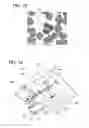 Fig. 15 - Sample image obtaining apparatus, sample image obtaining system, and method for obtaining sample image