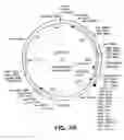 Fig. 12 - Peptides and compounds that bind to a receptor