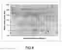 Fig. 09 - Polymeric imaging agents and medical imaging methods
