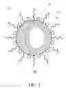 Fig. 02 - Fluorescent magnetic nanoparticles with specific targeting functions
