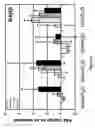 Fig. 09 - Treatment, prevention, and modulation of aging of the skin