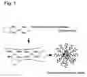 Fig. 02 - Coordination complex of diaminocyclohexaneplatinum(II) with block copolymer containing poly(carboxylic acid) segment and antitumor agent comprising the same