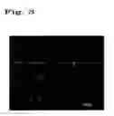 Fig. 03 - Regenerated corneal endothelial cell sheets, processes for producing the same, and methods of using the same