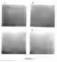 Fig. 03 - COMPOSITIONS AND METHODS TO ENHANCE VIABILITY AND FUNCTION OF ISLET CELLS
