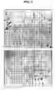 Fig. 04 - Gene-enhanced tissue engineering