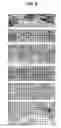 Fig. 06 - Gene-enhanced tissue engineering