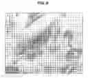 Fig. 07 - Gene-enhanced tissue engineering