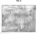 Fig. 09 - Gene-enhanced tissue engineering