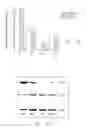 Fig. 10 - Protein modulators of resistance to alkylating agents