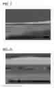 Fig. 05 - BIOPOLYMER MEMBRANE AND METHODS FOR ITS PREPARATION