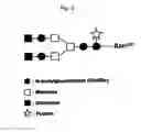Fig. 03 - Recombinant antibody composition