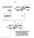 Fig. 04 - Recombinant antibody composition