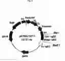 Fig. 07 - Recombinant antibody composition