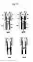 Fig. 13 - Recombinant antibody composition