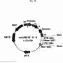 Fig. 16 - Recombinant antibody composition