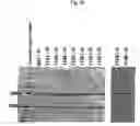 Fig. 24 - Recombinant antibody composition