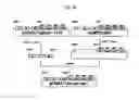 Fig. 29 - Recombinant antibody composition