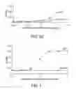Fig. 04 - Non-immunostimulatory antibody and compositions containing the same