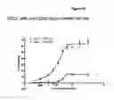 Fig. 28 - Optimized anti-CD30 antibodies
