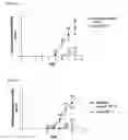 Fig. 04 - Method for the treatment of inflammatory bowel disease