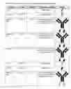 Fig. 02 - Peptide-immunoglobulin-conjugate
