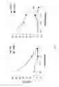 Fig. 06 - Survivin-derived peptides and use thereof