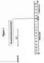 Fig. 02 - Multivalent meningococcal derivatized polysaccharide-protein conjugates and vaccine