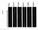 Fig. 10 - Use of ligands of specific antigen for the diagnosis and treatment of solid tumours and bone-related cancerous diseases