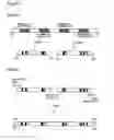 Fig. 04 - Muteins of a bilin-binding protein with affinity for a given target