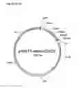 Fig. 14 - Muteins of a bilin-binding protein with affinity for a given target