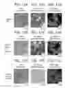 Fig. 10 - PROCESSES FOR MAKING PARTICLE-BASED PHARMACEUTICAL FORMULATIONS FOR ORAL ADMINISTRATION
