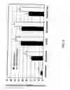 Fig. 03 - Percutaneous absorption type cerebral protective agent