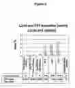 Fig. 03 - Method of producing lipid complexed camptothecin-carboxylate